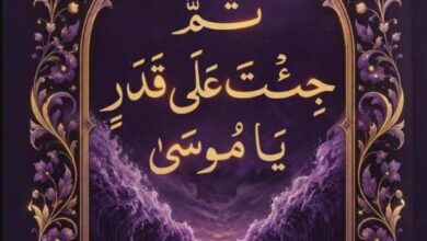 تحميل كتاب ثم جئت على قدر يا موسى pdf - كفاح أبو هنود